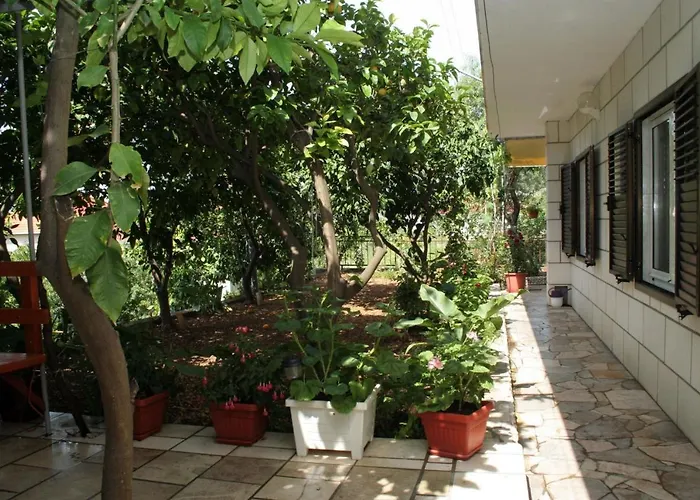 4563d * אורביץ