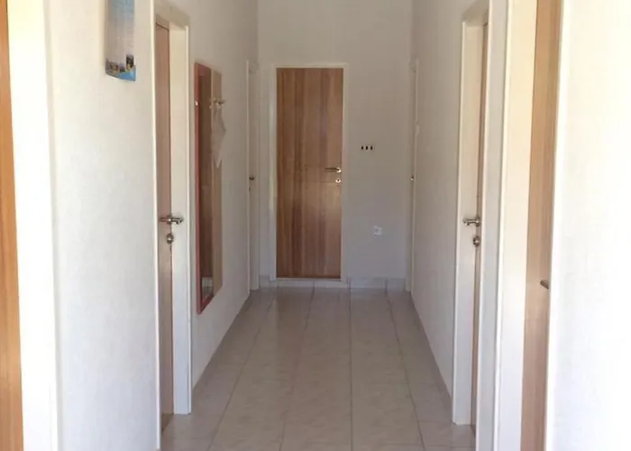 4563d דירה אורביץ